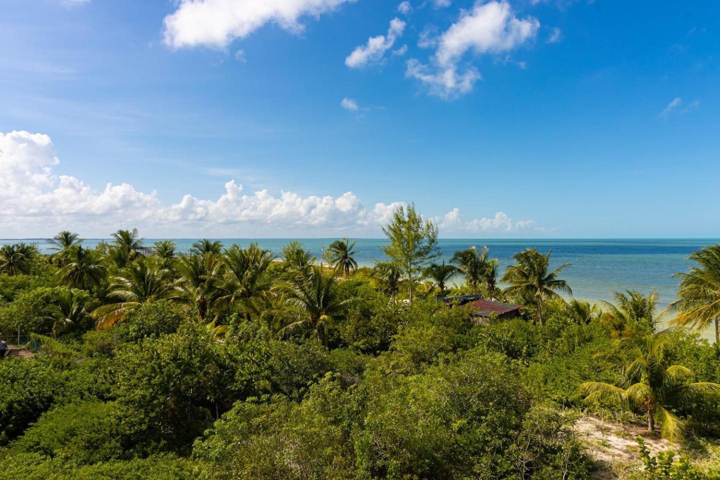 Beautiful Ocean View Penthouse With Private Pool -C301 Ξενοδοχείο Isla Holbox Εξωτερικό φωτογραφία